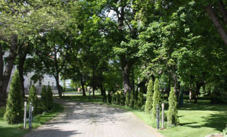 img_0131 vstup.jpg